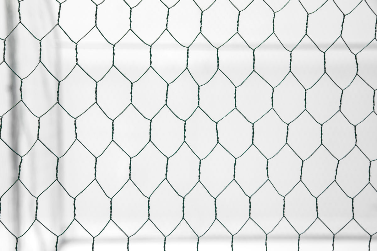 XPT034 Outdoor chicken coop metal big space 13*10*6FT