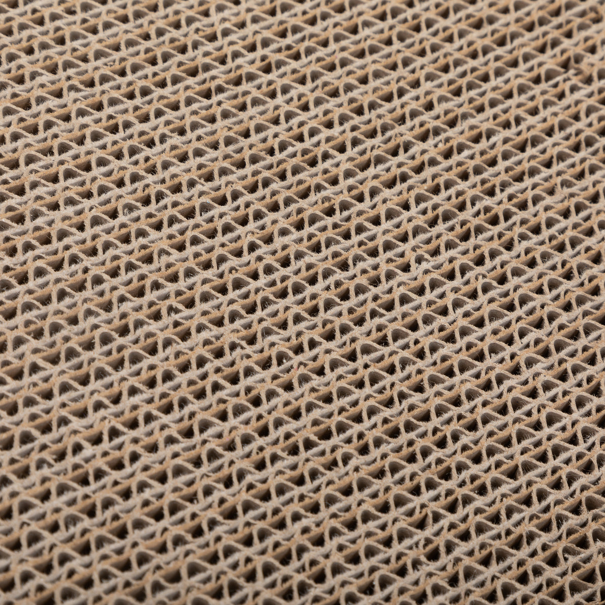 8-character cat scratch board - with pattern