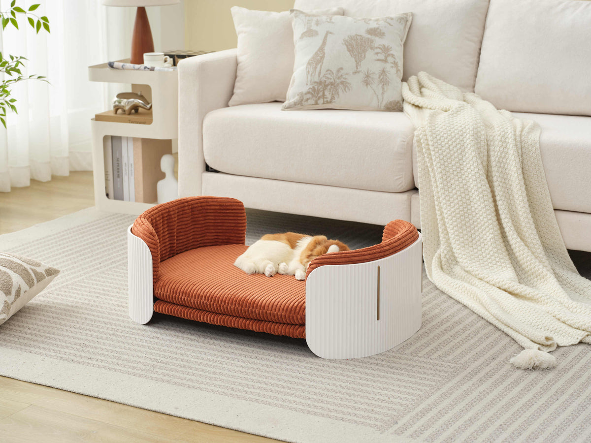Scandinavian style Cat Couch Bed, Pet Sofa for Indoor Cats PP Indoor Pet Furniture Elevated Cat Beds with Removable Mattress Cover Suitable for Kitty, Puppy or Small Animal  Brand Design  White Brown