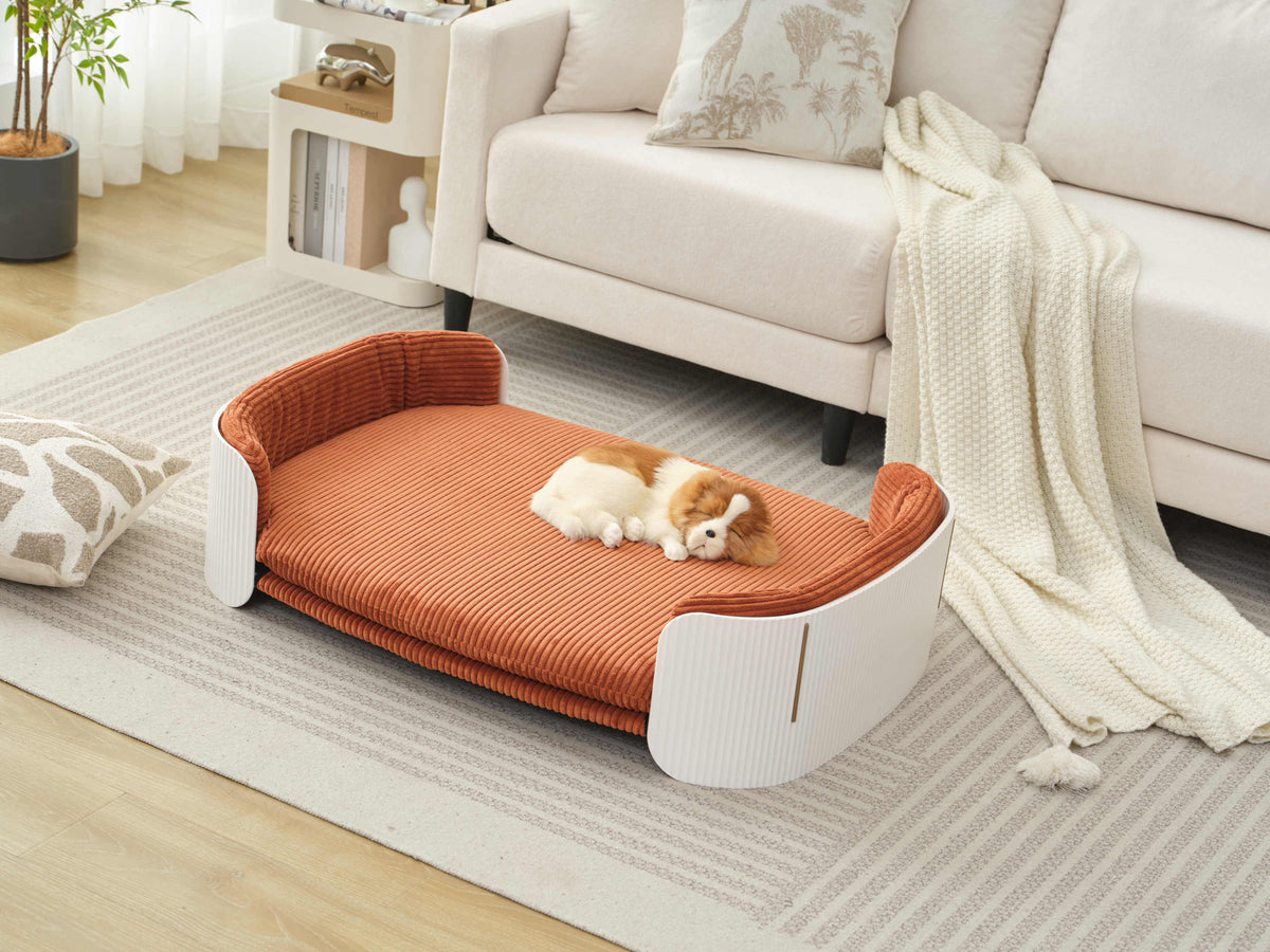 Scandinavian style Cat Couch Bed, Pet Sofa for Indoor Cats PP Indoor Pet Furniture Elevated Cat Beds with Removable Mattress Cover Suitable for Mid or Large  Animal Brand Design White+Brown