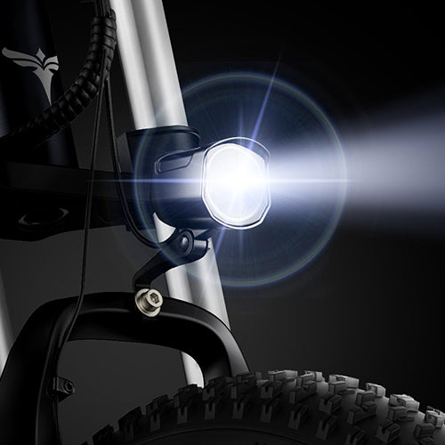 ENGWE X24 1000W Electric Motorcycle 20*4" Fat Tire Off-Road Electric Bike,Moutain Electric Bicycle