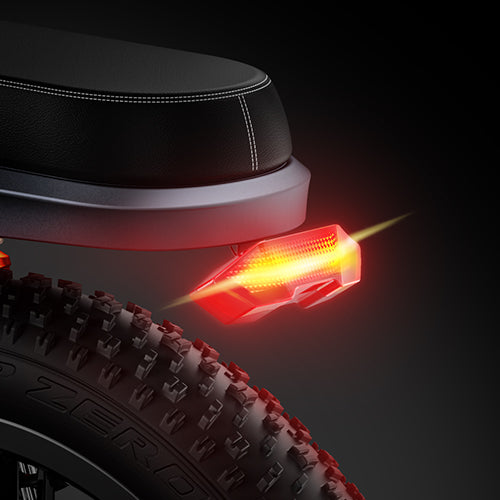 ENGWE X24 1000W Electric Motorcycle 20*4" Fat Tire Off-Road Electric Bike,Moutain Electric Bicycle